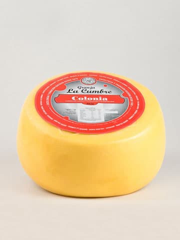 Queso Colonia