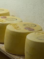 Queso Grana Artesanal de Granja La Cumbre